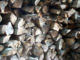 Firewood